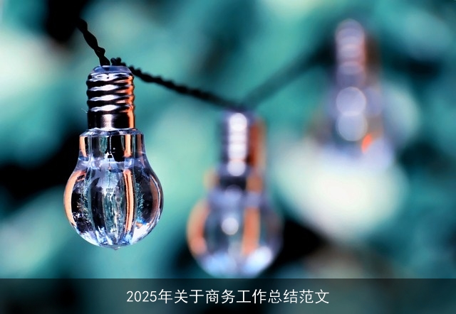 2025年关于商务工作总结范文
