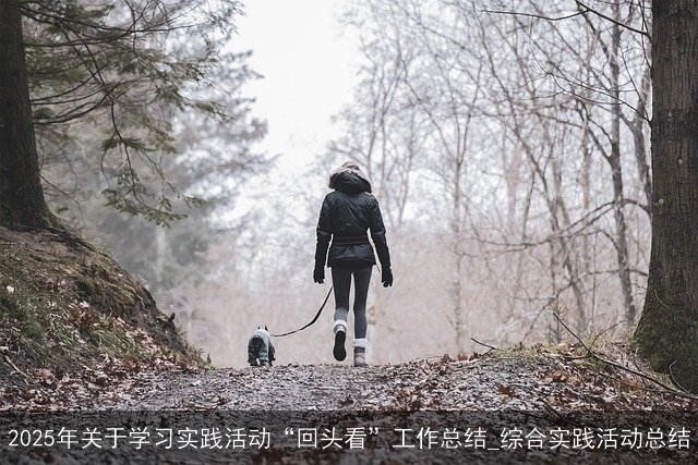2025年关于学习实践活动“回头看”工作总结_综合实践活动总结