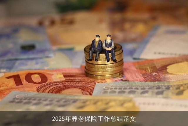 2025年养老保险工作总结范文