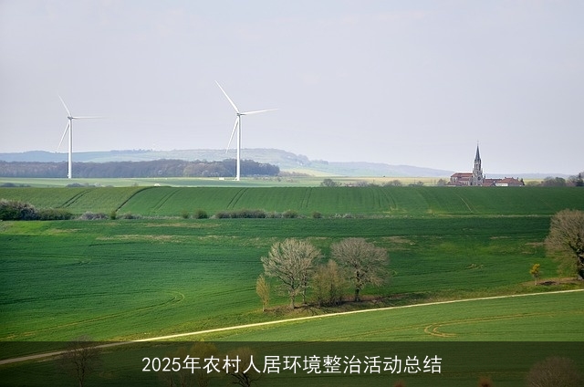 2025年农村人居环境整治活动总结