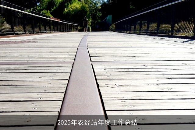 2025年农经站年度工作总结