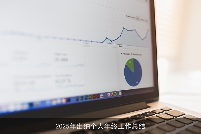 2025年出纳个人年终工作总结