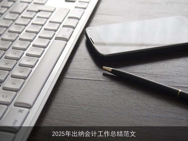 2025年出纳会计工作总结范文