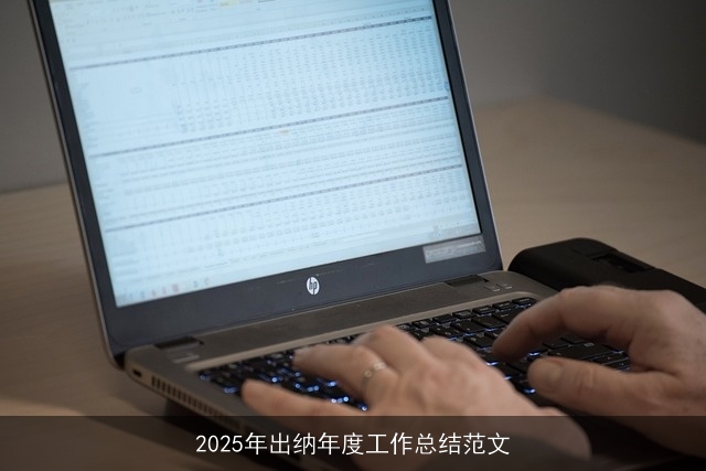 2025年出纳年度工作总结范文