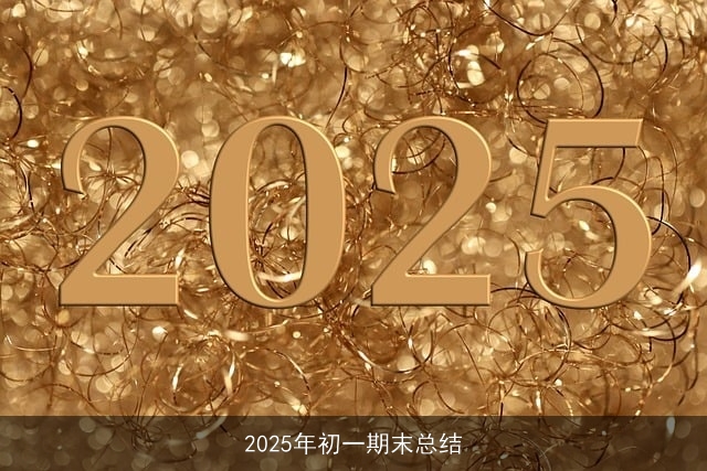 2025年初一期末总结