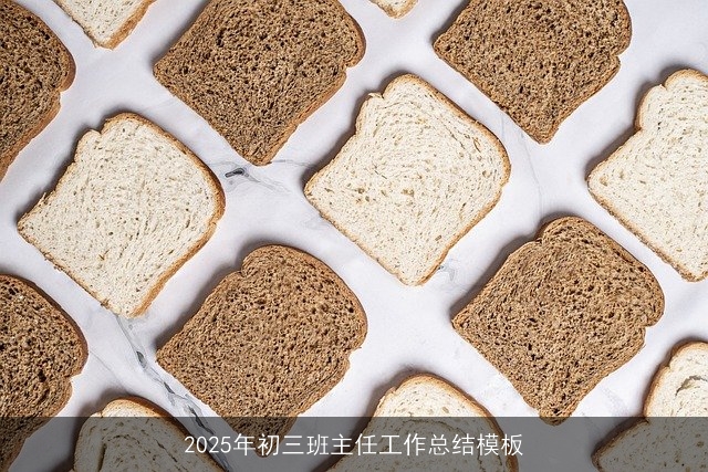 2025年初三班主任工作总结模板