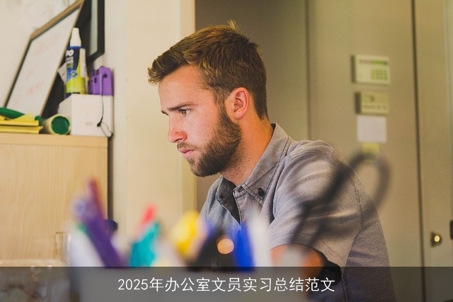 2025年办公室文员实习总结范文