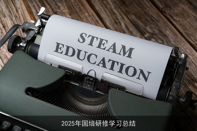 2025年国培研修学习总结