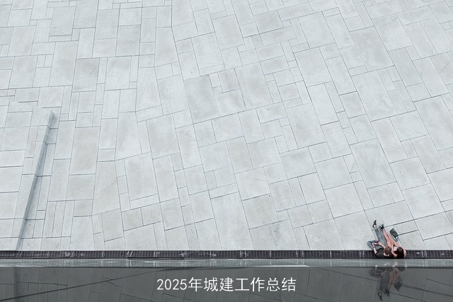 2025年城建工作总结