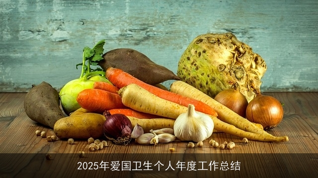 2025年爱国卫生个人年度工作总结