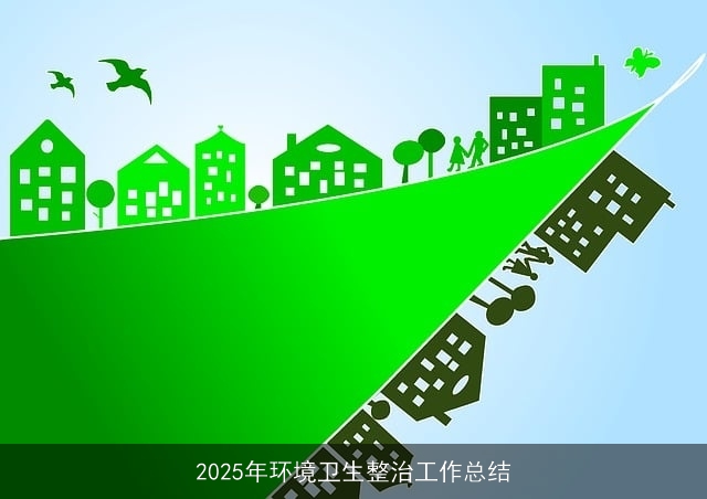 2025年环境卫生整治工作总结