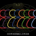 2025年社区残疾人工作总结