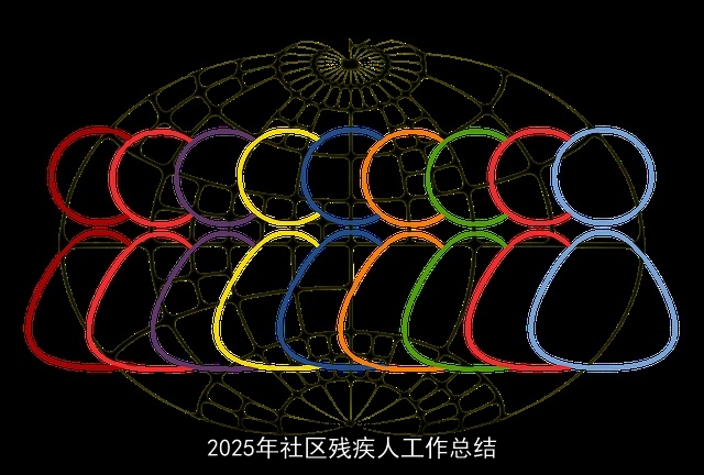 2025年社区残疾人工作总结