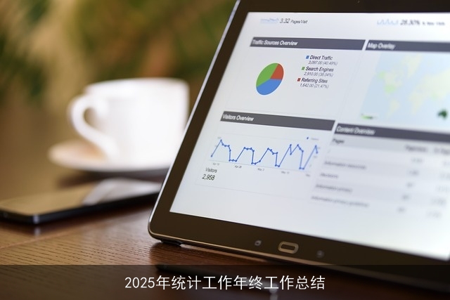 2025年统计工作年终工作总结