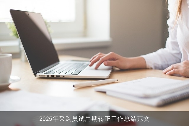 2025年采购员试用期转正工作总结范文