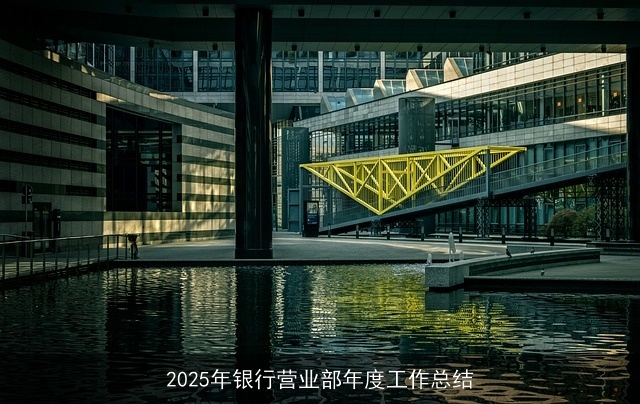 2025年银行营业部年度工作总结