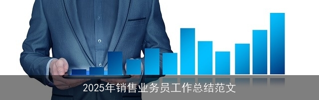 2025年销售业务员工作总结范文