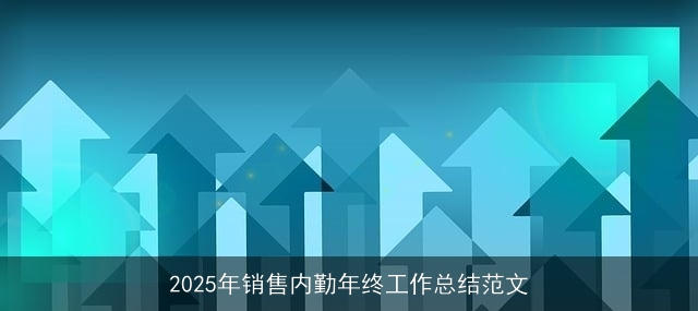 2025年销售内勤年终工作总结范文