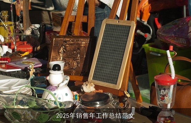 2025年销售年工作总结范文
