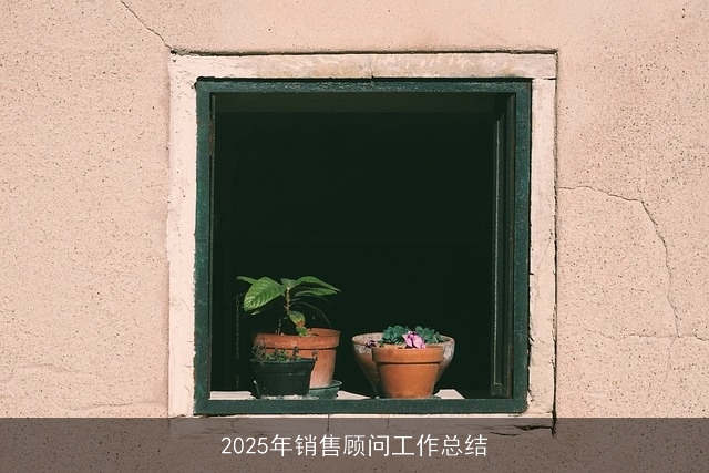 2025年销售顾问工作总结