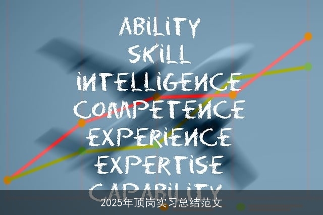 2025年顶岗实习总结范文