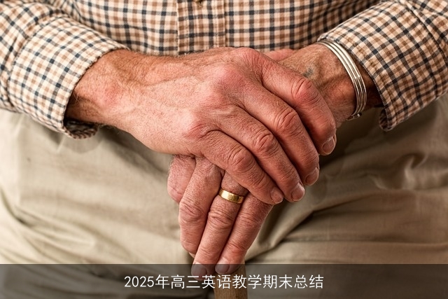 2025年高三英语教学期末总结