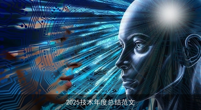 2025技术年度总结范文