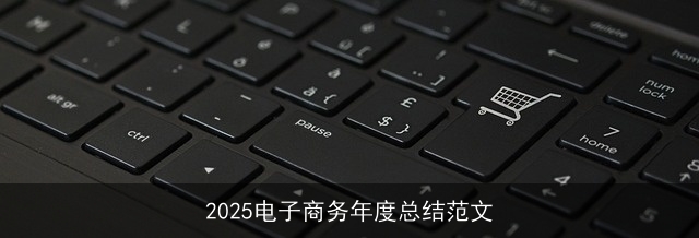 2025电子商务年度总结范文