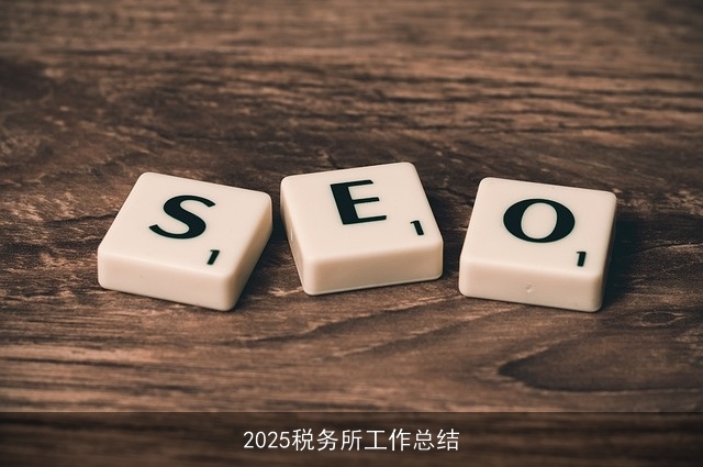 2025税务所工作总结