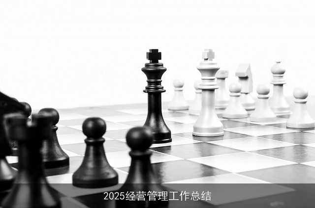 2025经营管理工作总结