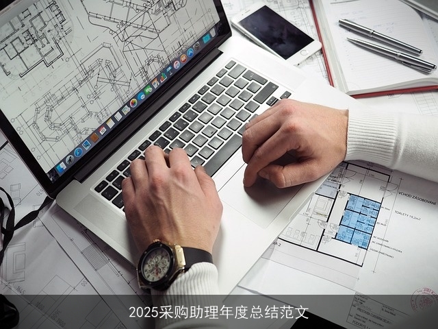 2025采购助理年度总结范文