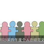 2025采购年度个人总结范文