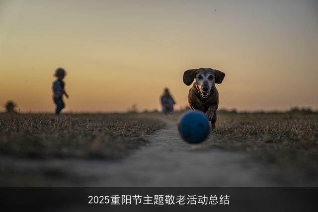 2025重阳节主题敬老活动总结