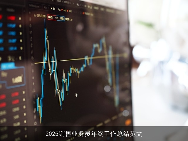 2025销售业务员年终工作总结范文