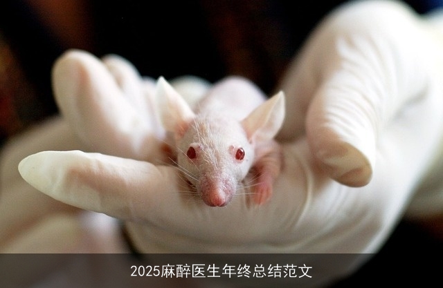 2025麻醉医生年终总结范文