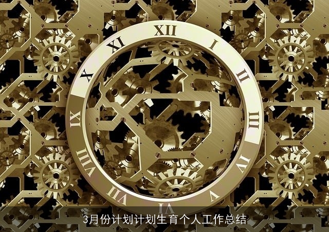 3月份计划计划生育个人工作总结