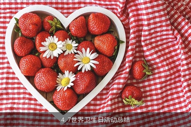 4.7世界卫生日活动总结