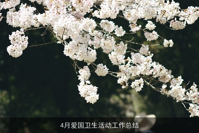 4月爱国卫生活动工作总结