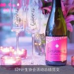 529计生协会活动总结范文