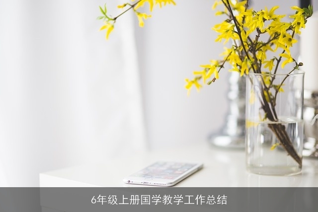 6年级上册国学教学工作总结