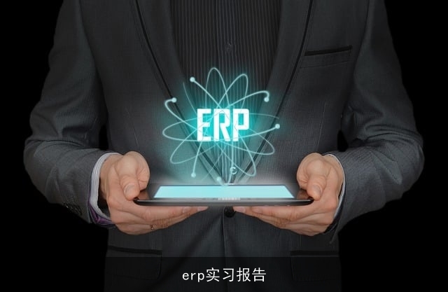 erp实习报告