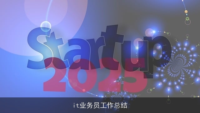 it业务员工作总结