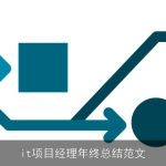 it项目经理年终总结范文