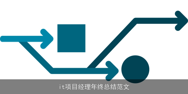 it项目经理年终总结范文