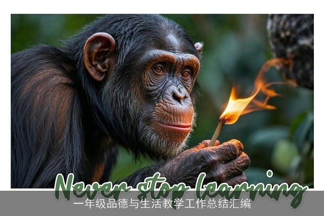 一年级品德与生活教学工作总结汇编