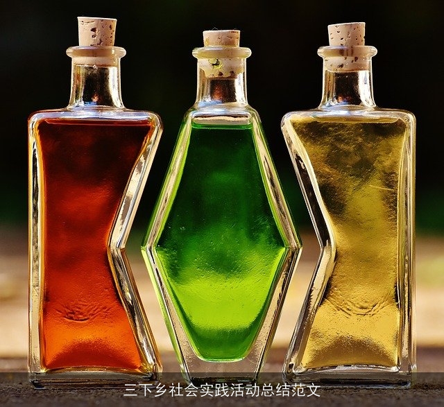 三下乡社会实践活动总结范文