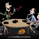 三个月试用期工作总结范文