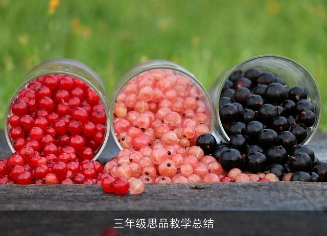 三年级思品教学总结