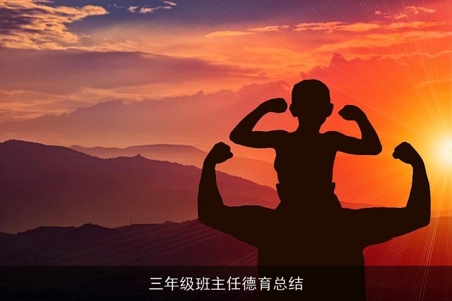 三年级班主任德育总结