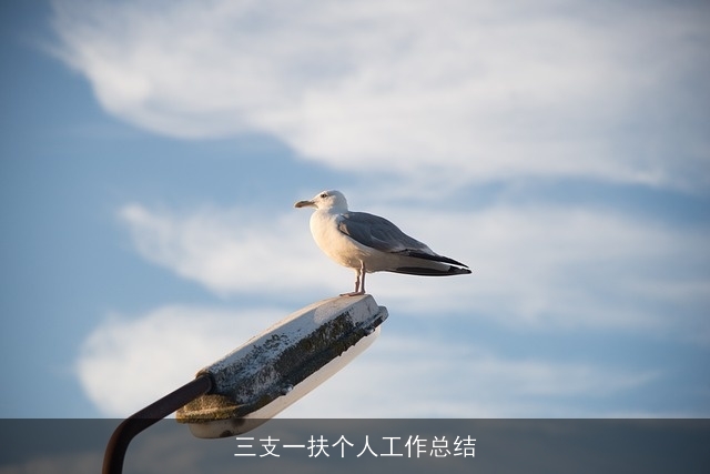 三支一扶个人工作总结